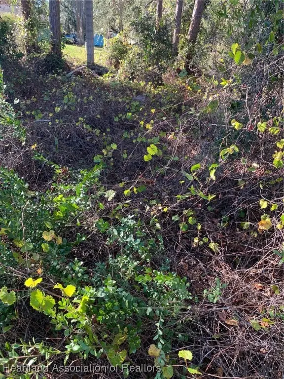 365 Bottlebrush Avenue, Lake Placid, FL 33852