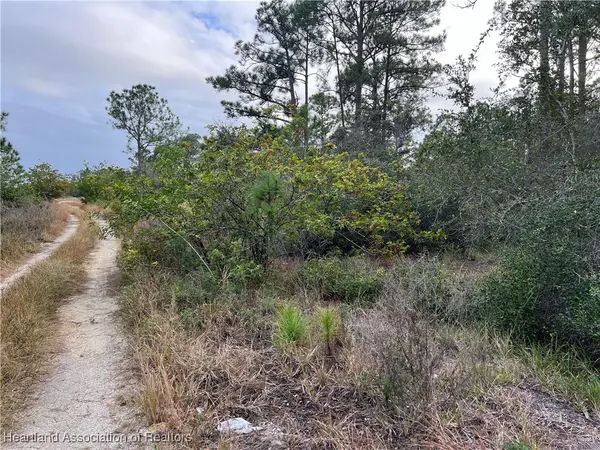 354 Summer Hill Drive, Lake Placid, FL 33852