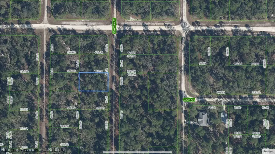 646 Jonathan Street, Lake Placid, FL 33852 - Image #2
