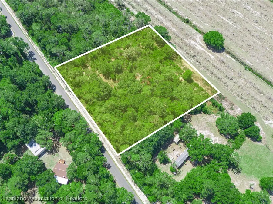 482 Kulwicki Drive, Venus, FL 33960 - Image #2