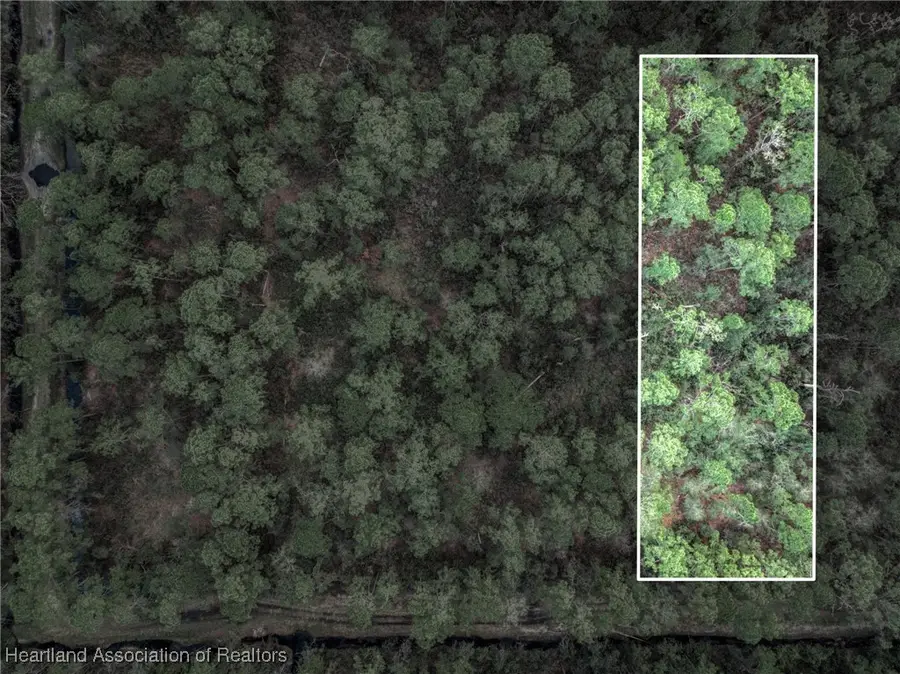 1013 Hyacinth Avenue, Sebring, FL 33875 - Image #2