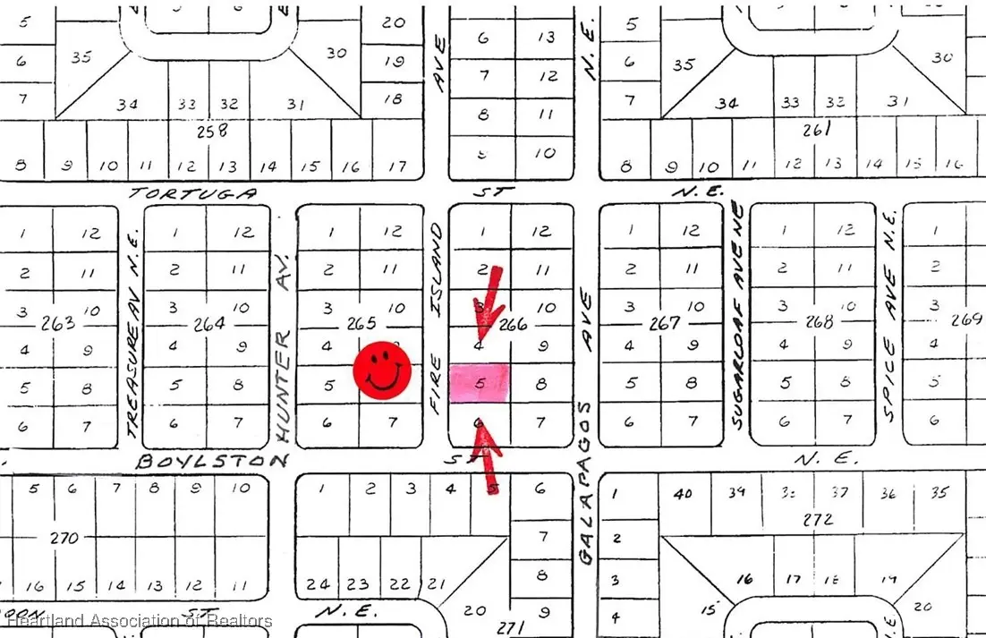 228 Fire Island Avenue Ne, Lake Placid, FL 33852 - Image #1