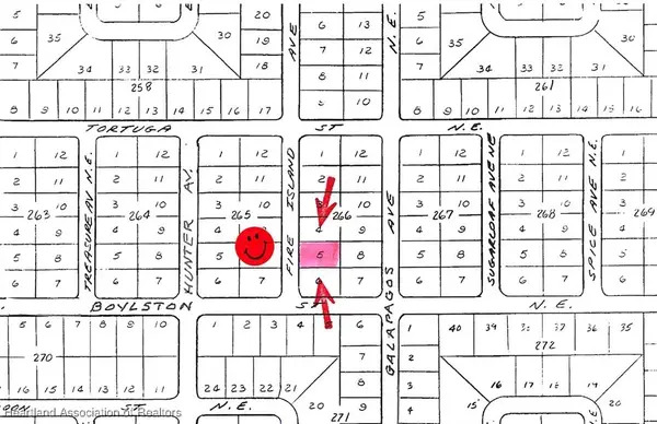 228 Fire Island Avenue Ne, Lake Placid, FL 33852