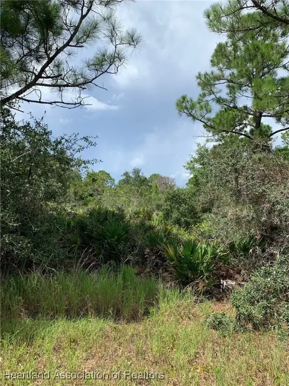 225 Tomahawk Street, Lake Placid, FL 33852 - Image #2