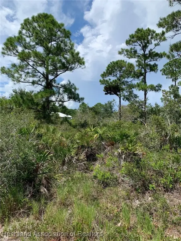 225 Tomahawk Street, Lake Placid, FL 33852 - Image #3