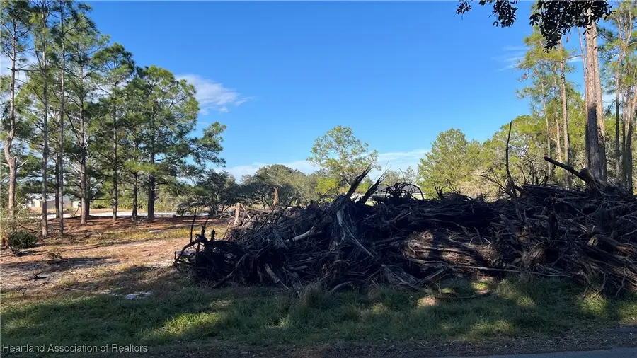 1028 Mimosa Street, Lake Placid, FL 33852 - Image #2