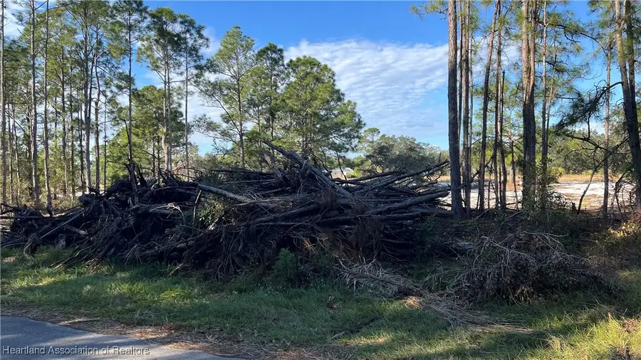 1028 Mimosa Street, Lake Placid, FL 33852 - Image #3