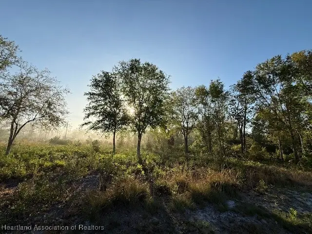 200 N Riverdale Road, Avon Park, FL 33825 - #3