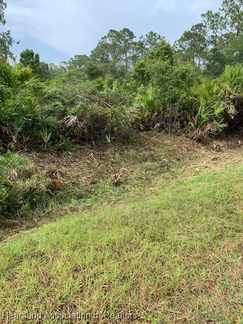 1420 Errol Street, Lake Placid, FL 33852 - #1