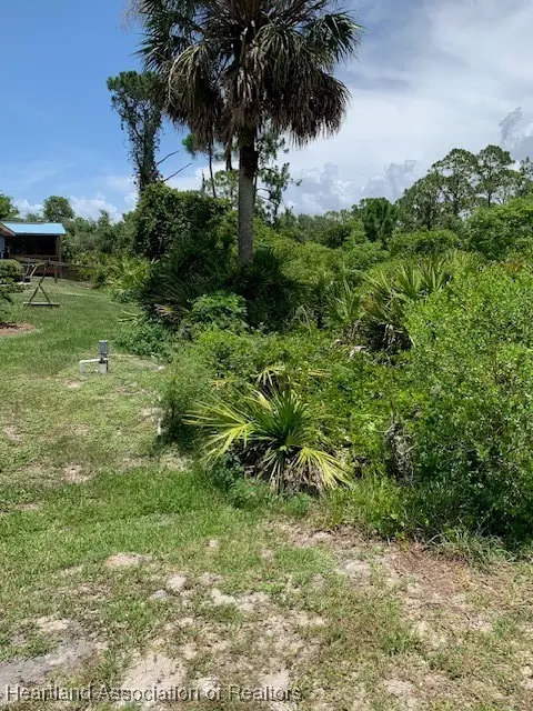 1420 Errol Street, Lake Placid, FL 33852 - #3