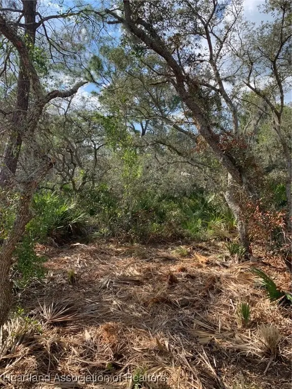 3549 Bluebird Avenue, Lake Placid, FL 33852 - Image #3