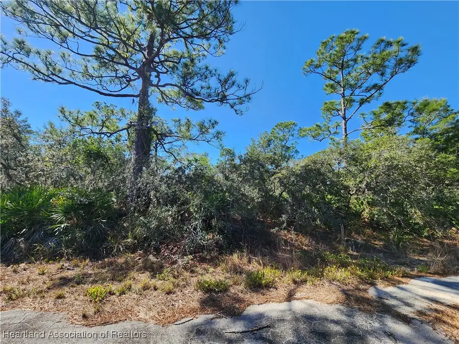 3348 Forsythia Avenue, Lake Placid, FL 33852 - Image #3