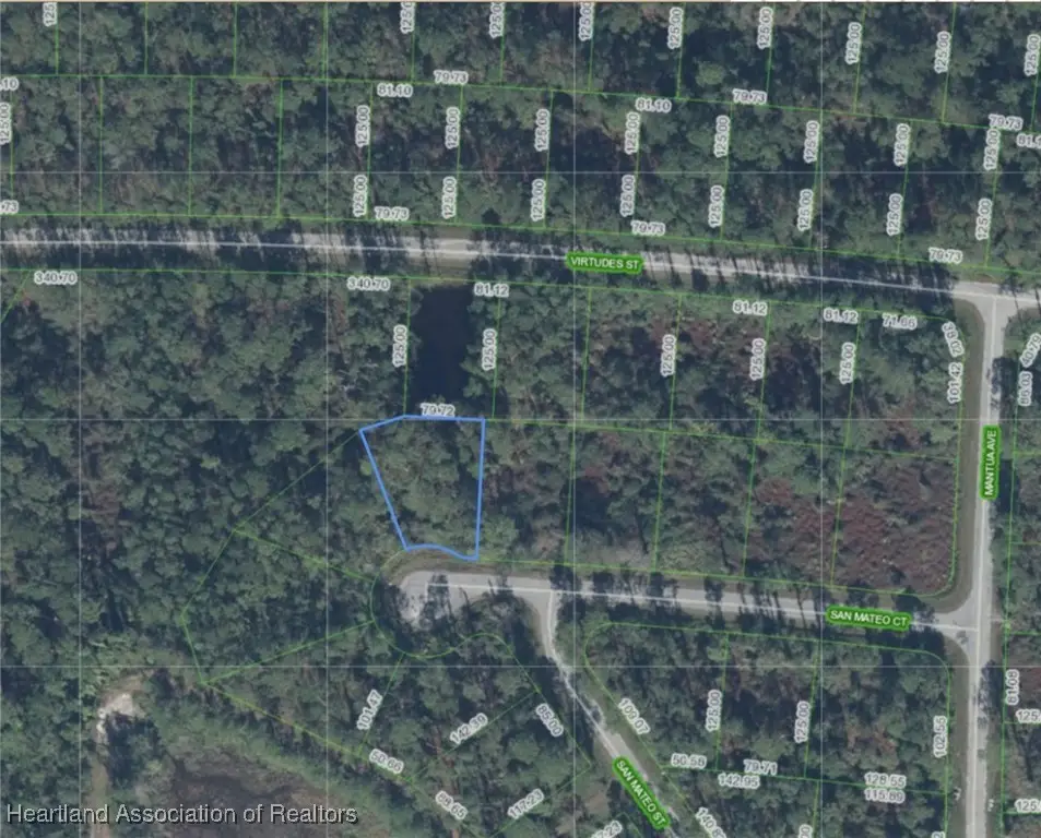 8636 San Mateo Street, Sebring, FL 33872 - #1