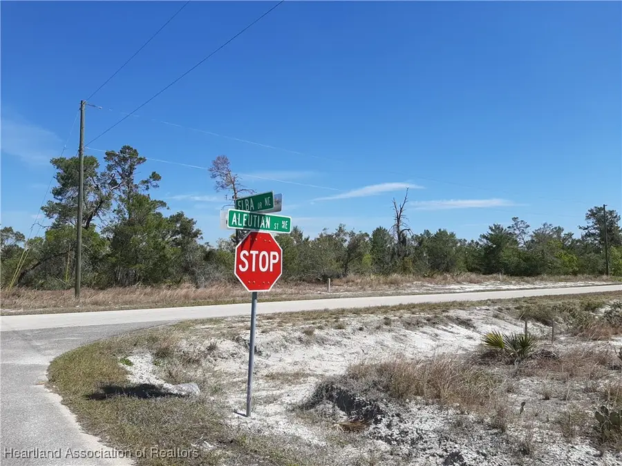 109 NE Elba Drive Ne, Lake Placid, FL 33852 - Image #2