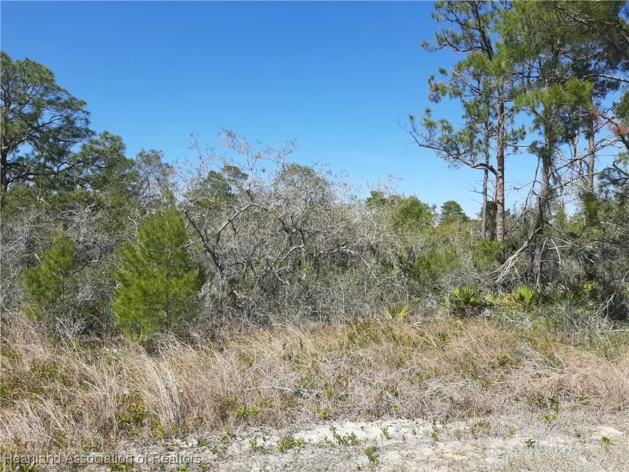 109 NE Elba Drive Ne, Lake Placid, FL 33852 - Image #3