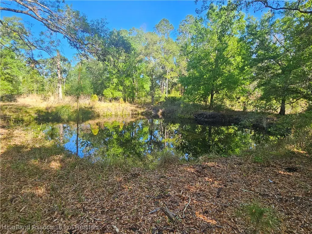 1631 Dozier Avenue, Sebring, FL 33875 - #1