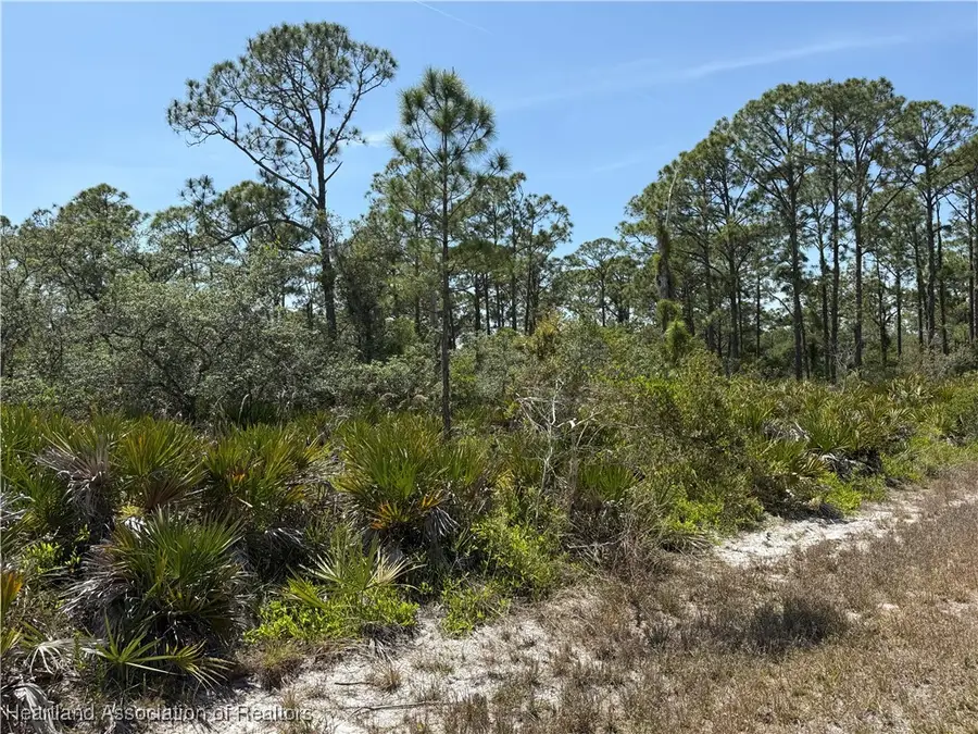 610 Burr Road, Lake Placid, FL 33852 - Image #2