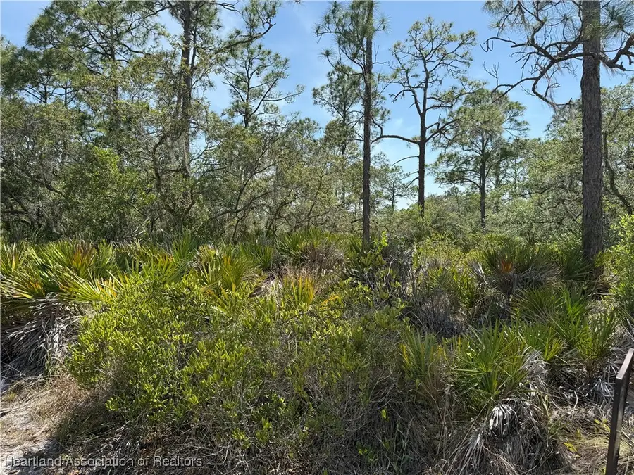 610 Burr Road, Lake Placid, FL 33852 - Image #3