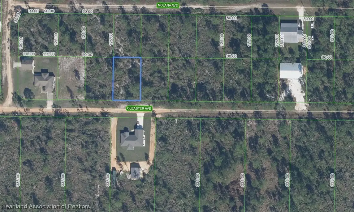 1830 Oleaster Avenue, Sebring, FL 33875 - #1