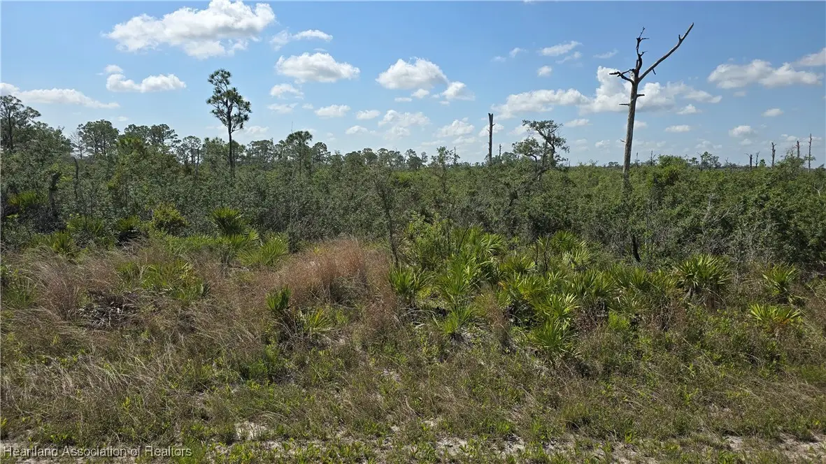 3116 Emory Avenue, Lake Placid, FL 33852 - Image #1