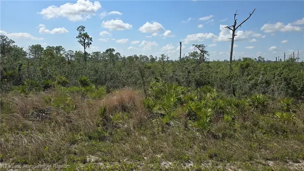 3116 Emory Avenue, Lake Placid, FL 33852