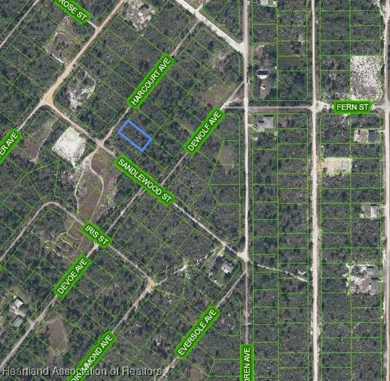 203 Harcourt Avenue, Lake Placid, FL 33852 - Image #2