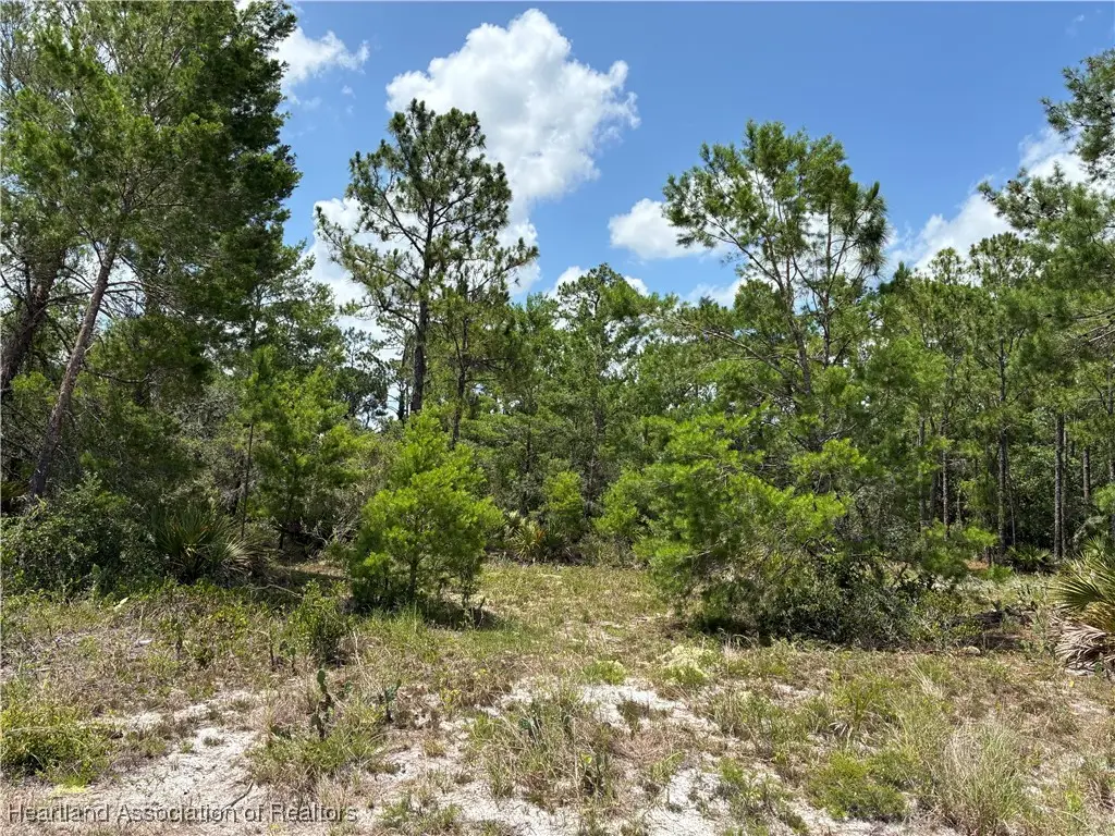 1110 Viburnum Drive, Sebring, FL 33875 - Image #1