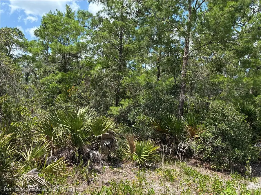 1110 Viburnum Drive, Sebring, FL 33875 - Image #3