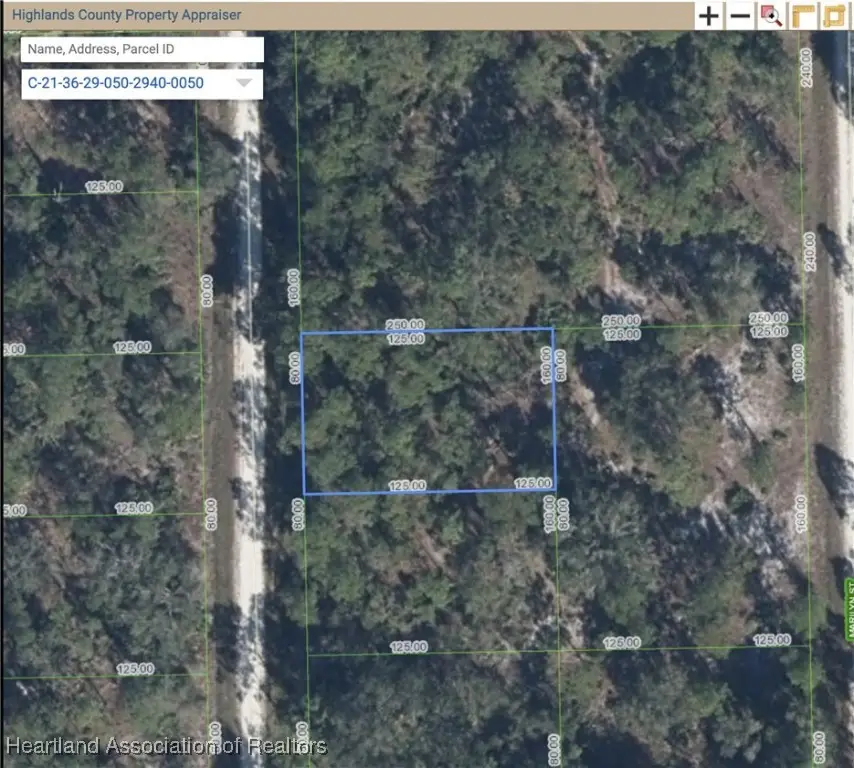 645 Chesley Street, Lake Placid, FL 33852 - Image #1