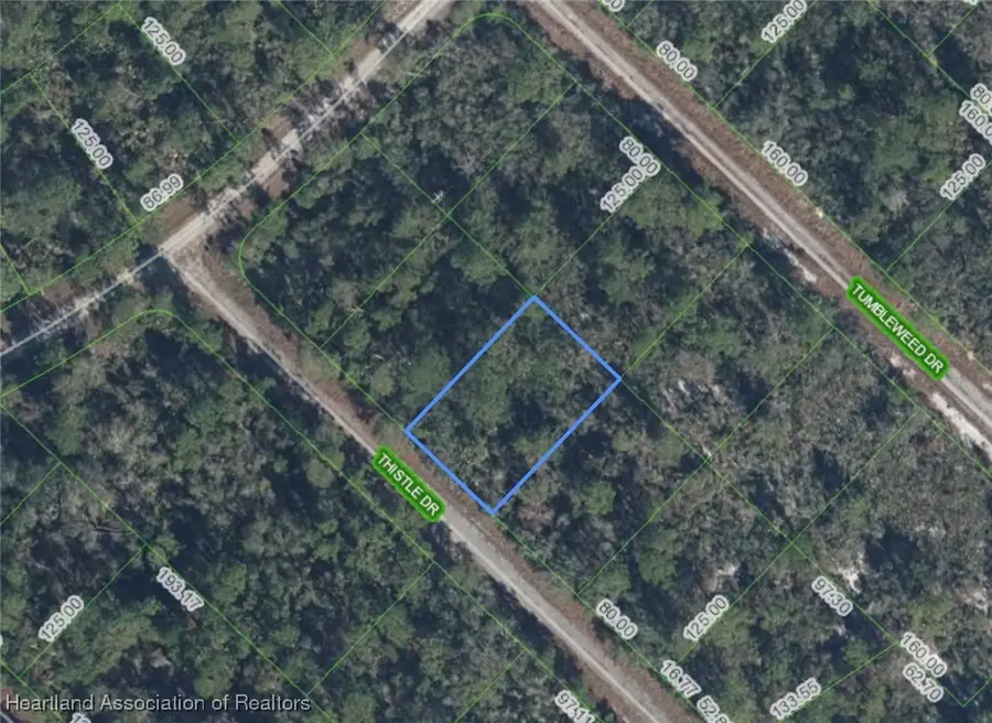 3229 Thistle Drive, Lake Placid, FL 33852 - Image #2