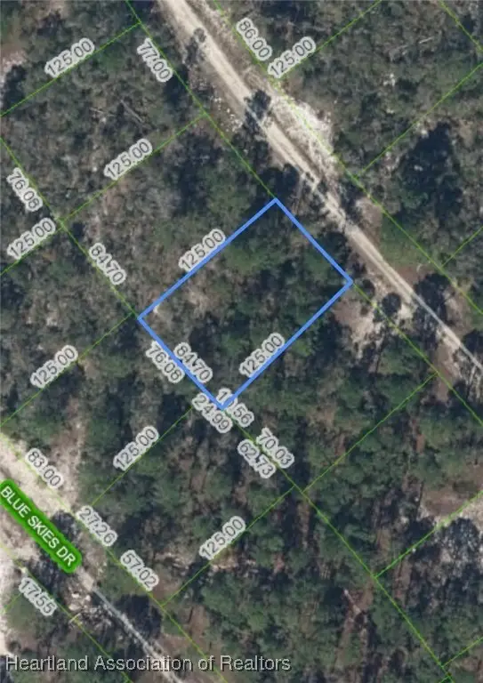 510 Dreamland Drive, Lake Placid, FL 33852 - Image #1