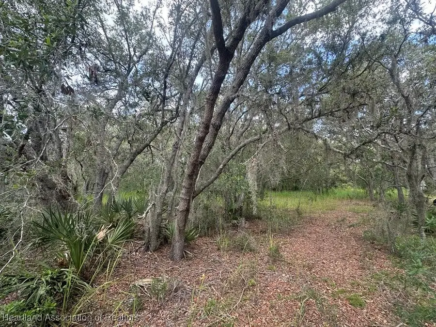 3064 W Ryder Road, Avon Park, FL 33825 - Image #2