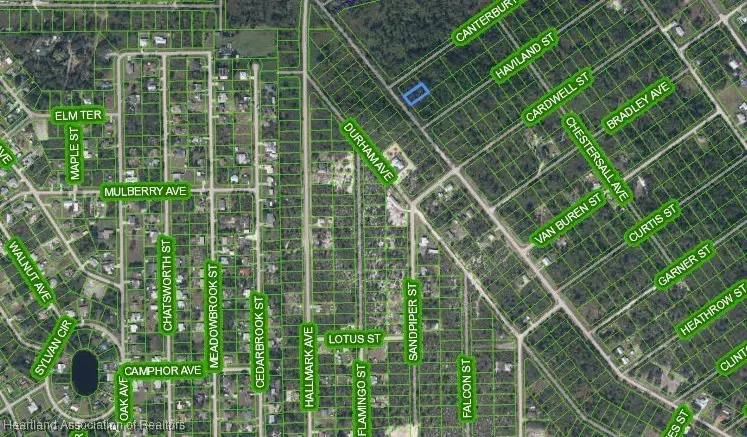 455 Nichele Boulevard, Lake Placid, FL 33852 - Image #3