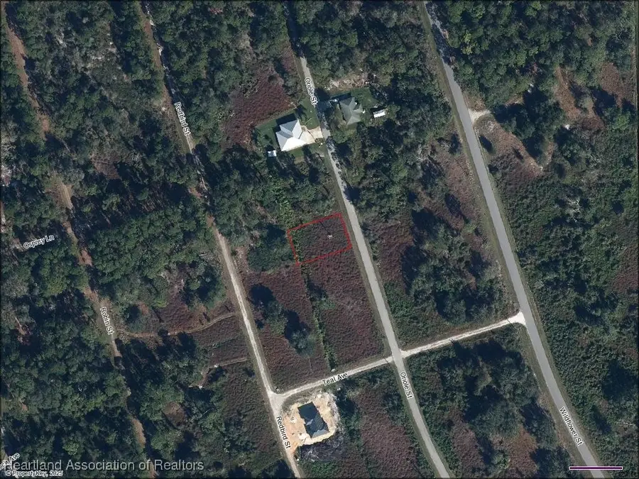 1044 Oriole Street, Lake Placid, FL 33852 - Image #2