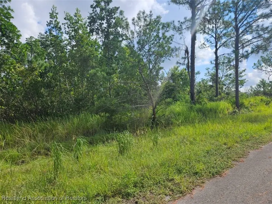 6834 Virtudes Street, Sebring, FL 33872 - #2