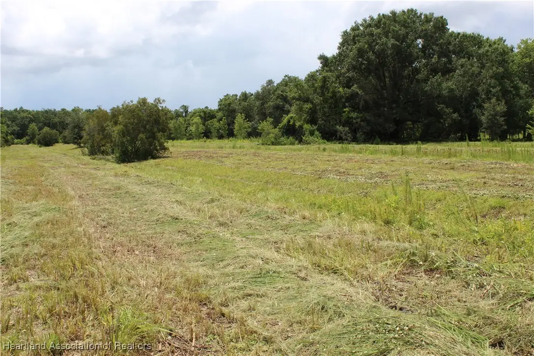 0 Terrell Road, Wauchula, FL 33873 - Image #1