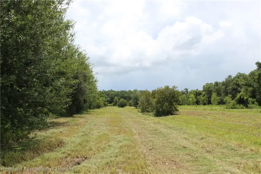 0 Terrell Road, Wauchula, FL 33873 - Image #2