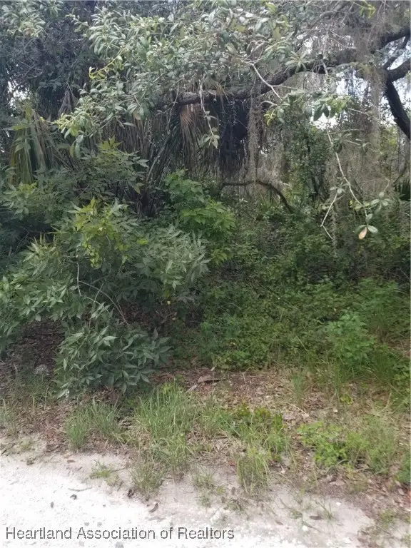 1216 Cacao Road, Lake Placid, FL 33852 - Image #2