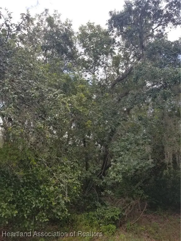 1216 Cacao Road, Lake Placid, FL 33852 - Image #3