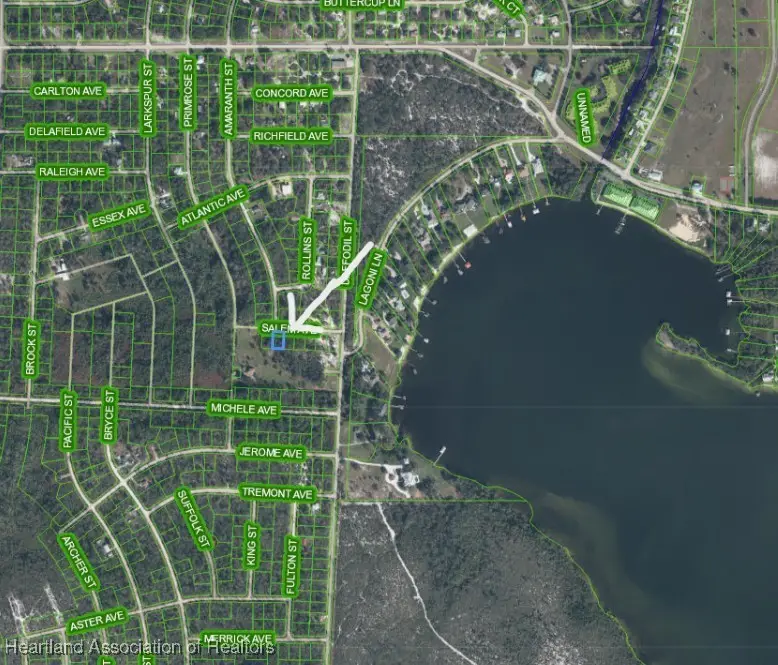 3110 Salem Avenue, Lake Placid, FL 33852 - Image #2