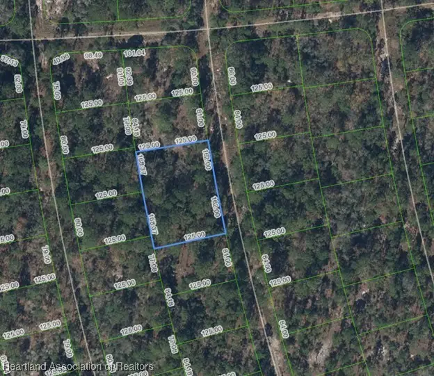 212 Sentimental Drive, Lake Placid, FL 33852 - Image #1