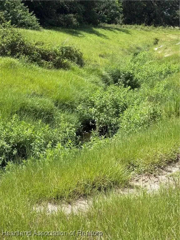 1001 Cattle Ranch Road, Venus, FL 33960 - Image #2