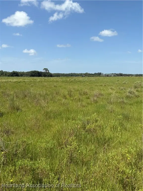 1001 Cattle Ranch Road, Venus, FL 33960 - Image #3