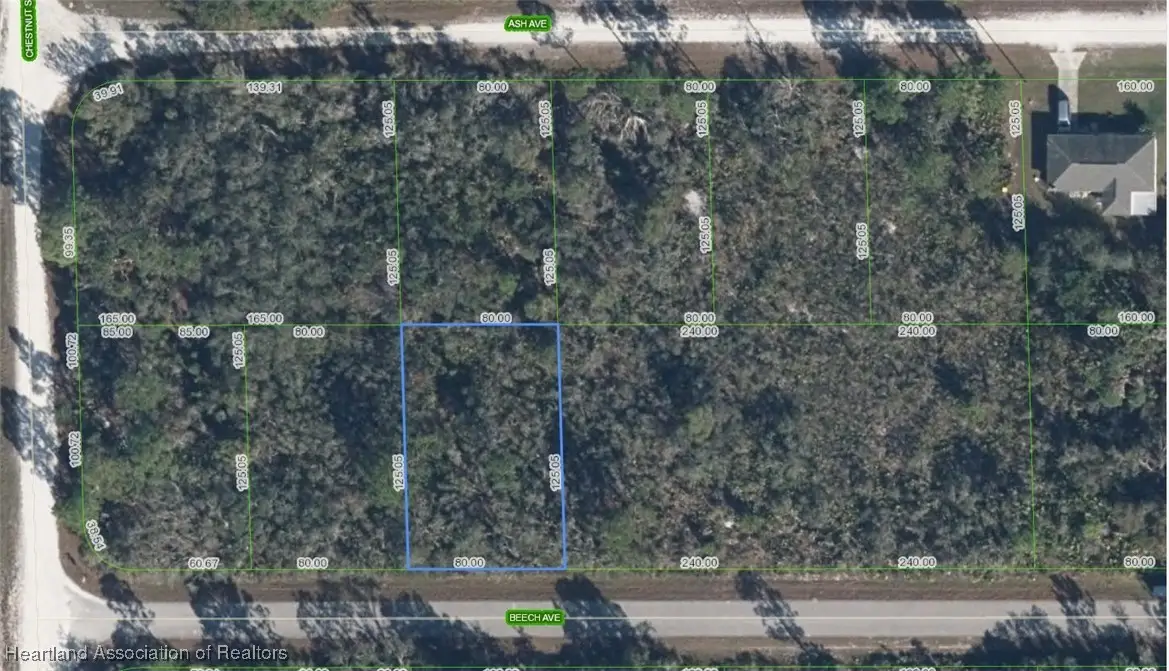 3027 Beech Avenue, Lake Placid, FL 33852 - Image #1