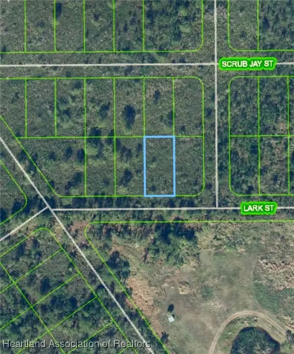 1322 Lark Street, Lake Placid, FL 33852