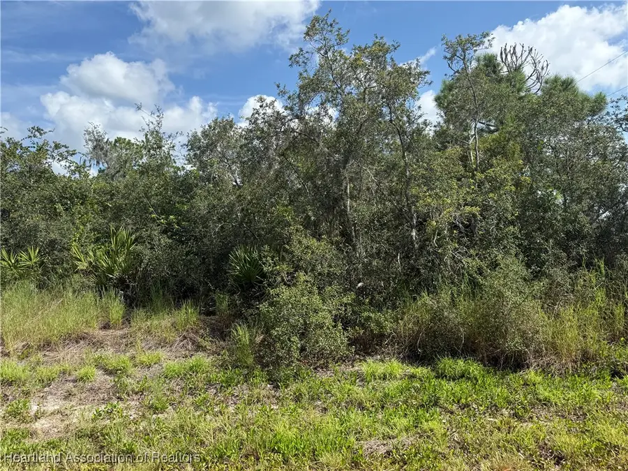 3101 Holifield Avenue, Lake Placid, FL 33852 - Image #3