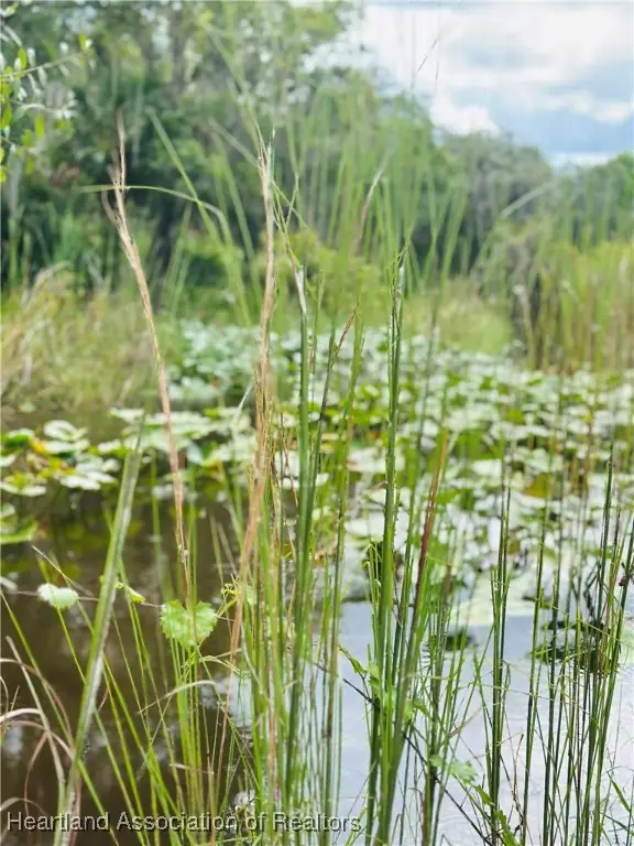 0 Deer Road, Frostproof, FL 33843 - Image #3