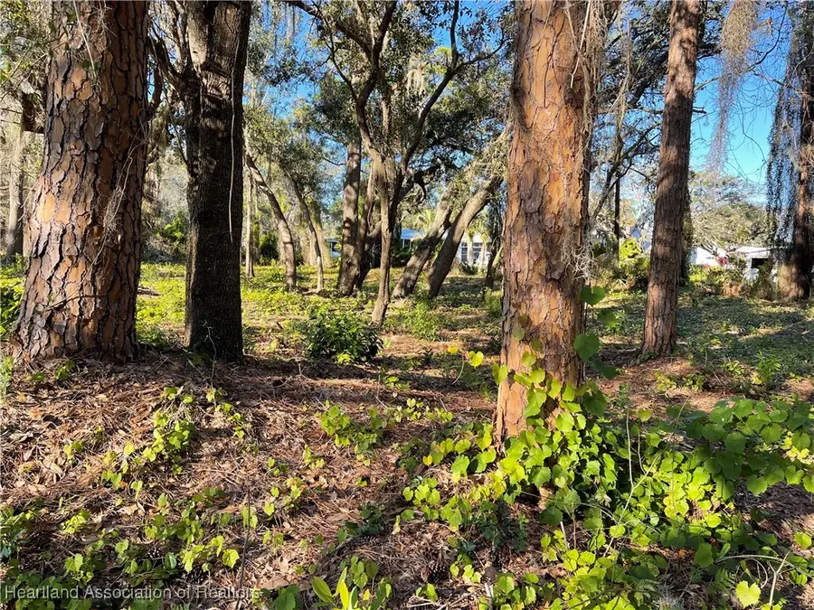 1143 Peachtree Drive, Lake Placid, FL 33852 - Image #3