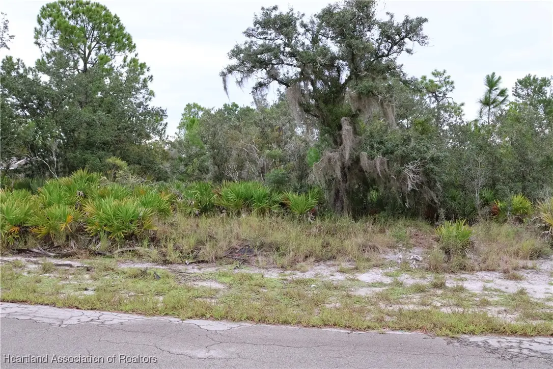 3335 Gerber Avenue, Lake Placid, FL 33852 - #1