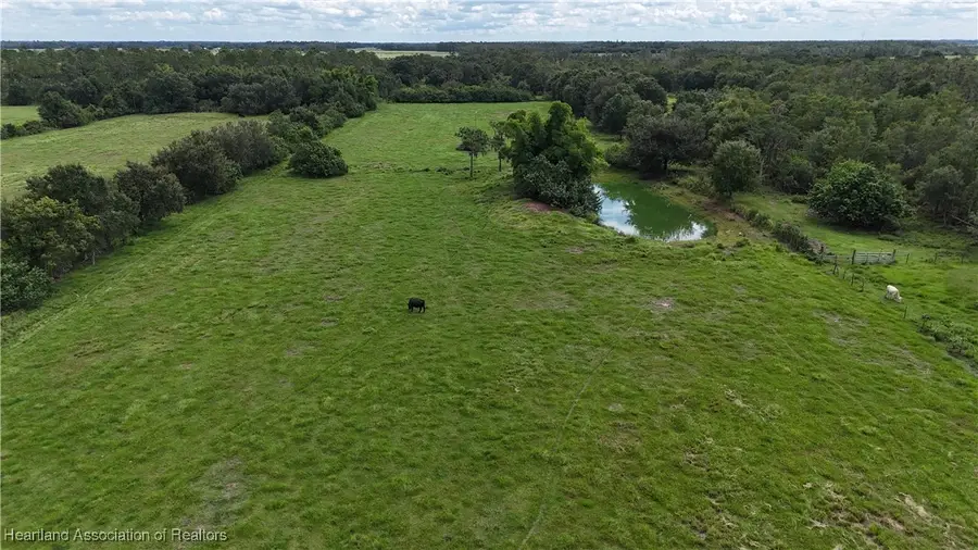 8519 Carlson & 0 Fishbranch Road, Zolfo Springs, FL 33890 - #2